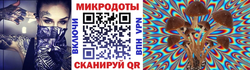 Галлюциногенные грибы Psilocybine cubensis  маркетплейс наркотические препараты  Дудинка  даркнет сайт 
